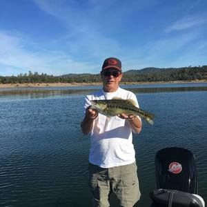 Meet your Posher, Ken